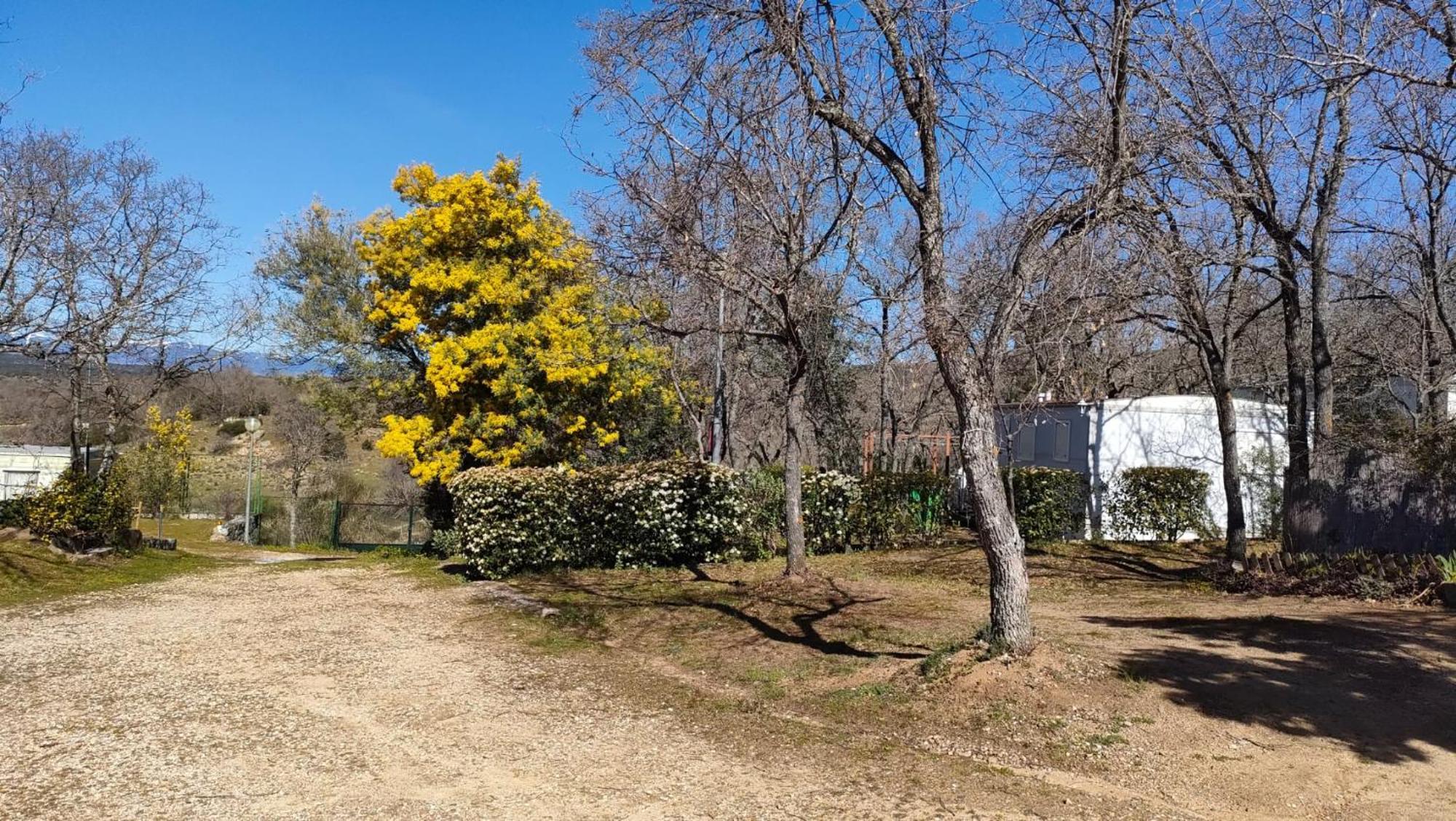 Camping De Cervera De Buitrago Exterior foto